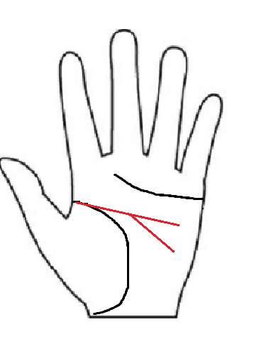 知能線 頭脳線 が2本 二股 枝分かれ のうまくいく考え方の１つ 理論で才能を活かす 手相占い 手相占い平塚 手相 後藤