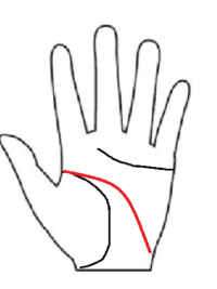 知能線 頭脳線 が2本 二股 枝分かれ のうまくいく考え方の１つ 理論で才能を活かす 手相占い 手相占い平塚 手相 後藤
