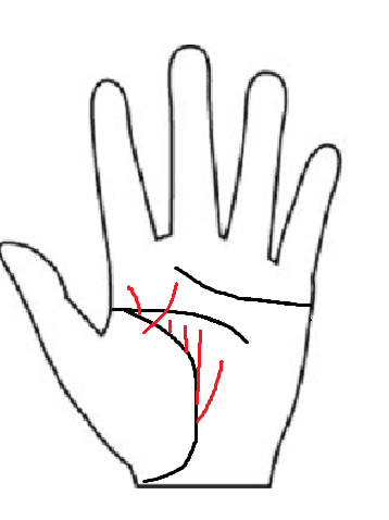 手相　生命線　開運線　龍の瀬　画像　手相後藤