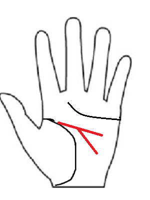 手相 2つに枝分れ頭脳線(知能線)二股知能線 画像 手相後藤