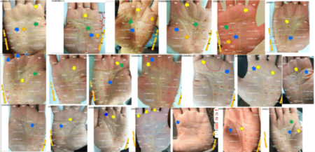 オンライン手相講座-20名の実例テキスト