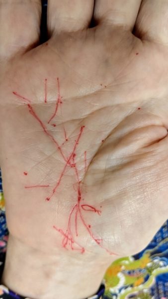 町田で提供する手相の後藤の精密鑑定。1本1本の線を詳細に分析し、適職を導き出す様子