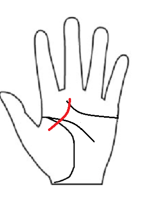 アナウンサー線と呼ばれる運命線。言葉の力や表現力、コミュニケーション能力を武器に活躍する運勢。