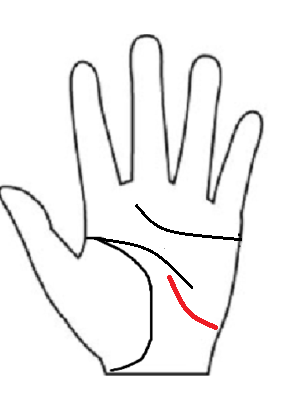 愛嬌ナンバーワンの運命線:月丘からカーブして昇り、周囲から愛され助けられることで運が開ける「愛され運」の相。