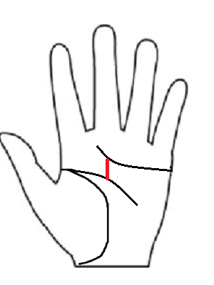 知能線から昇る運命線:才能や知恵を活かして中年以降に成功する相。