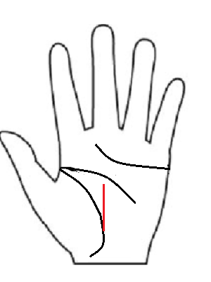 生命線から昇る運命線:自身の努力で運命を切り開く最強の運勢の一つ。