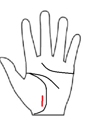 生命線の内側(金星丘)から始まる運命線:自分の内面の価値観に沿って生きる人