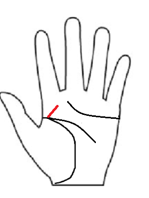 手相のリーダー線(別名:怖いはGO線)。生命線から人差し指の付け根(木星丘)に向かって伸びる赤い斜めの線。挑戦への恐怖を乗り越えることで運命が開けることを示すサイン。