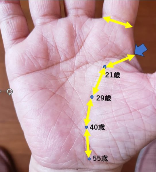 西谷式手相流年法(生命線)の解説図。左手のひらの写真に、生命線の年齢の測り方が示されている。人差し指の付け根の幅を基準の「1単位」とし、生命線の始点を「0歳」とする。生命線に沿って「21歳」、「29歳」、「40歳」、「55歳」の地点が青い点とテキストでマークされ、各地点間の距離が黄色い矢印で示されている。