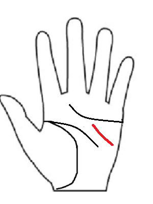 プロデュース運命線。自分だけでなく他人の才能を見抜き、引き出す能力に長けた「プロデューサー気質」の手相。