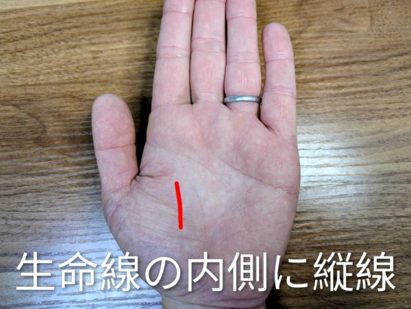 生命線の内側に縦線がある手相（二重生命線）の解説画像。相模原市南区で仕事と育児の両立に奮闘する女性に現れるサイン。
