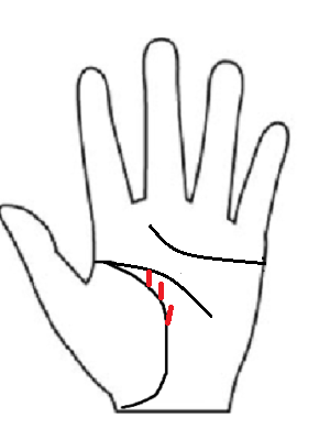 「運命線がない」と感じる人に見られる、生命線から立ち上がる細い運命線の手相イラスト