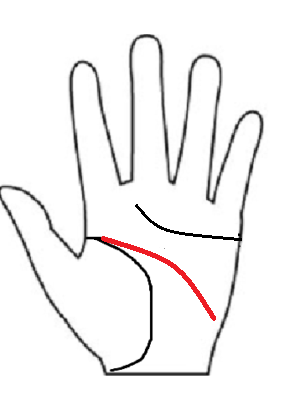 月丘の手刀部分に向かって長く下がる知能線。「土の属性」として、物事を作り出す、分析する専門性を象徴する図解。