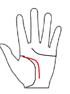 火の属性:生命線の横に深く下がる知能線。人の心を動かし、卓越した洞察力で問題解決していく天才性の図解。