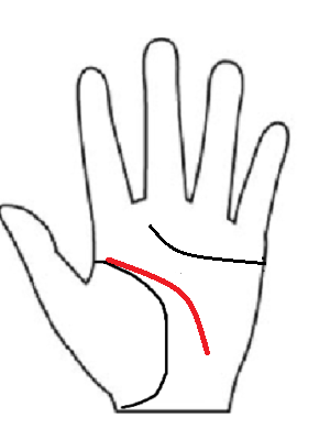 薬指の下あたりから月丘に向かって大きく下降する知能線。直感や精神性を重視する「木の属性」のバリエーション。