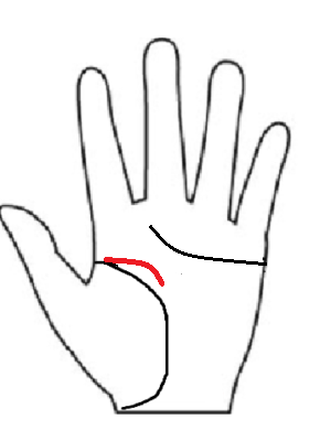 短く、人のお役に立つ天才性を象徴する「自然（ロギア）の属性」の知能線。即行動できるスピード感を示す図解。