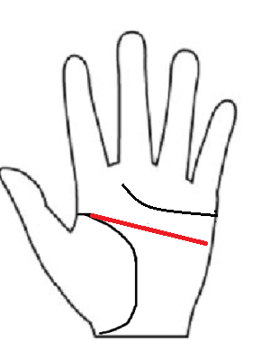 手のひらを横切るように真っ直ぐ伸びる長い知能線。「金の属性（金属）」として、論理的思考、数字、実務能力の高さを象徴する図解。