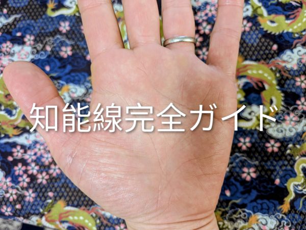 知能線完全ガイド　手相の後藤が提唱する