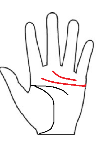 手相の二重感情線。感情線が2本並走しており、常人の2倍の情熱やマルチタスク能力、不屈の精神を持つ人の相。