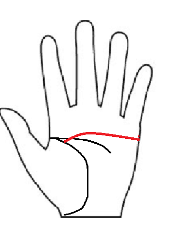 人差し指と中指の間から下降する感情線。相手の要望を敏感に察知し、的確に応える能力を持つ「顧客ニーズ線」の手相図解。