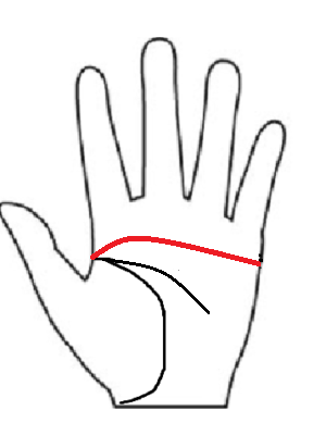 第1火星丘へ下降する感情線、通称「次郎長親分線」。筋を通し、不正を許さない強い正義感と義理人情を表す手相図解。