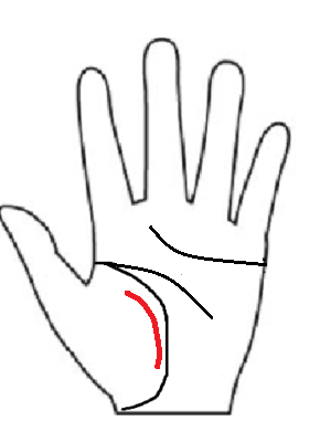 生命線の内側から中指に向かってまっすぐ伸びる縦線（運命線・最強線）の図解。揺るがない自分軸と人生への絶大な影響力を示す。
