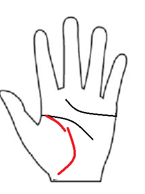 極端に短い生命線の意味。他者貢献や人の役に立つことへの抜群の行動力を示す。