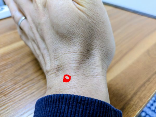 手相家・後藤の200歳まで届く長い生命線の実例