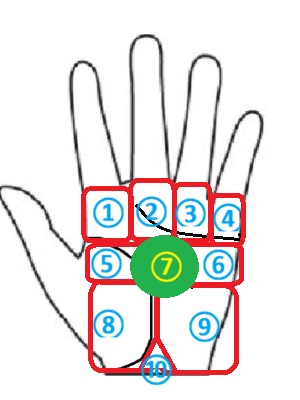 手相の丘 木星丘、土星丘、太陽丘、水星丘、第1火星丘、第2火星丘、火星平原、金星丘、月丘、冥王星丘(地丘)